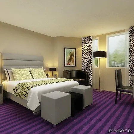 Executive Paris